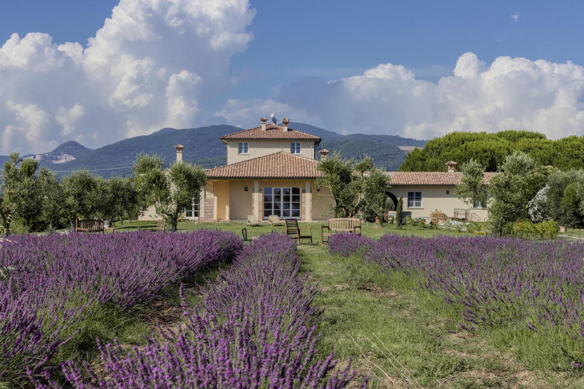 Agriturismo Villa Toscana Campiglia Marittima Exterior foto